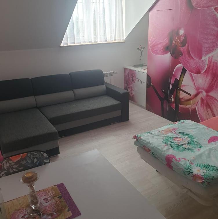 Dom Goscinny Vollare Ujście-Darłowskie Esterno foto